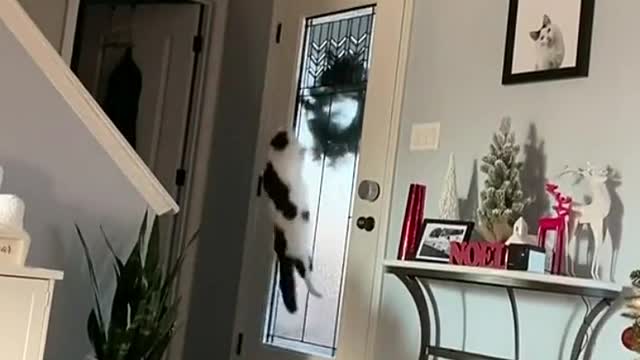 Curse u wreath 😤
