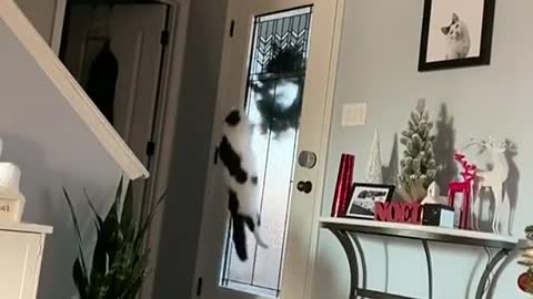 Curse u wreath 😤