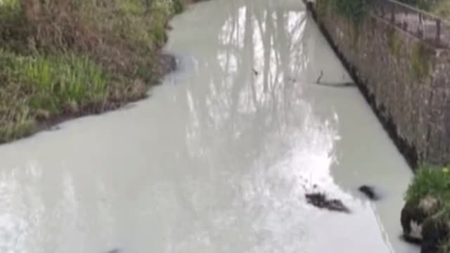 River in Wales That Filled With“Pure Milk ”