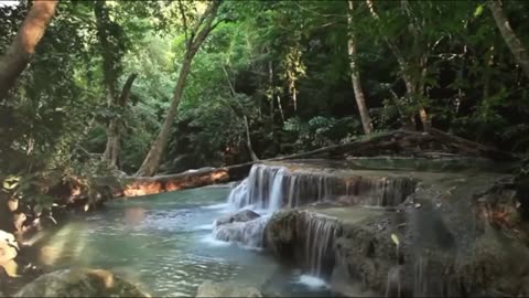 Nature sound full relaxing & soothing