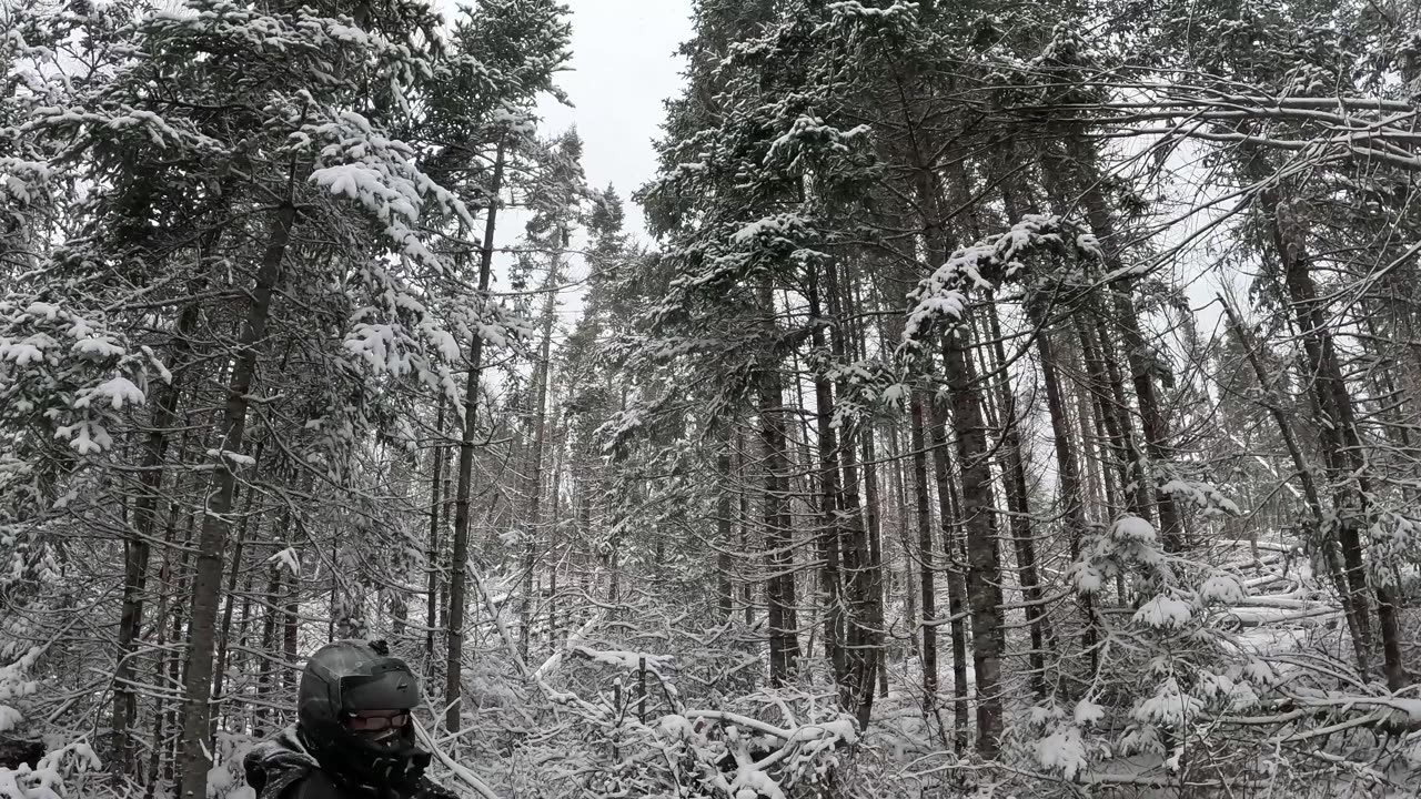 ❄️ The Last Ride of 2024: Snowstorm Adventures and Holiday Fun! ❄️