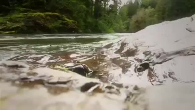 Time with God - August 7