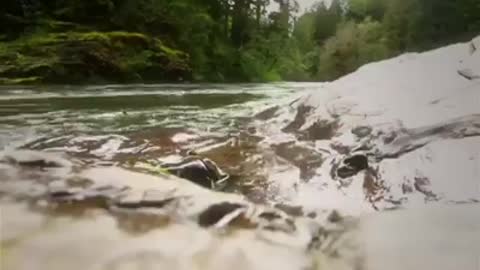 Time with God - August 7