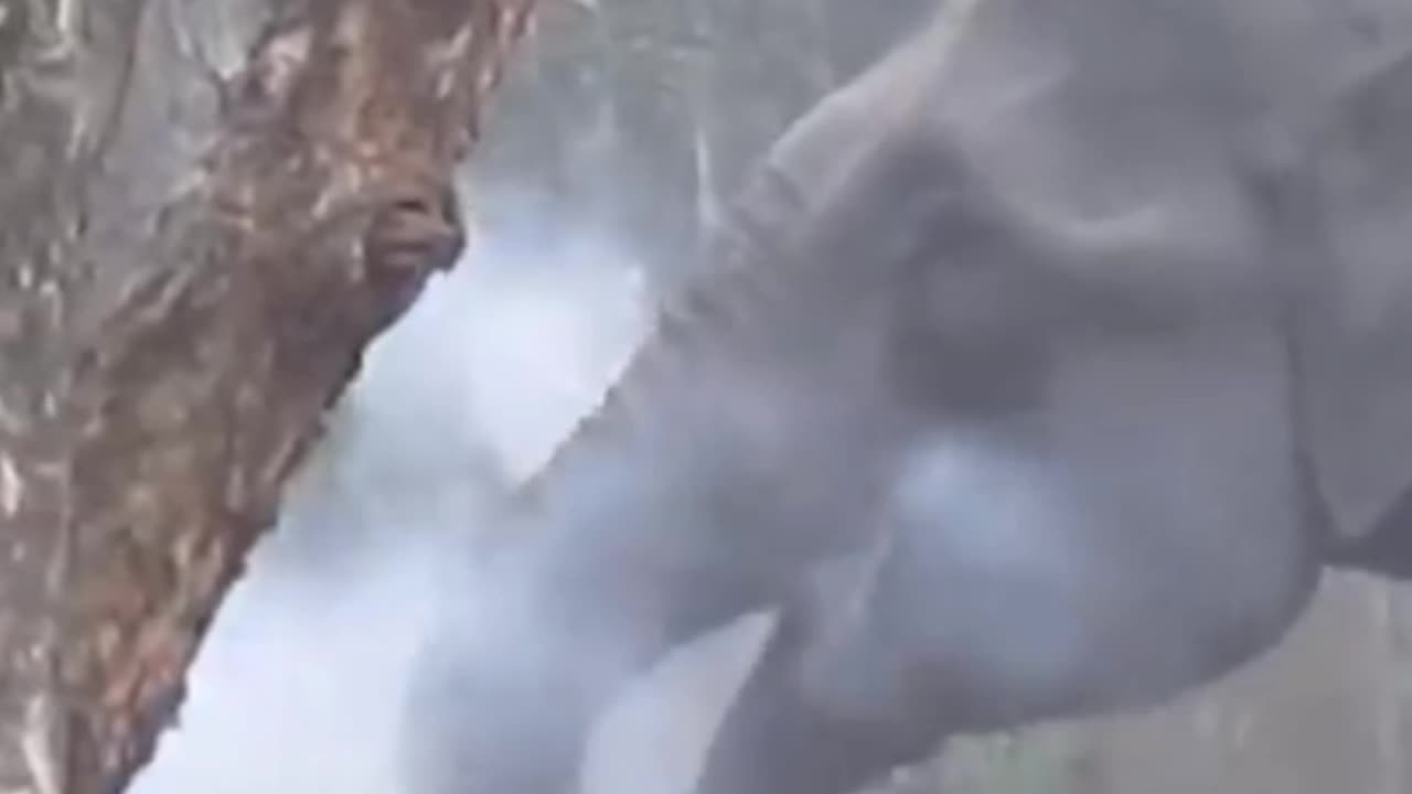 Funny video part 4 😂😂😂😂😂