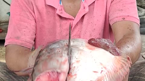 Amazing Fish Cutting Skills l Big Pangas Fish Live Cutting By FAST CUTTER#SHORTS