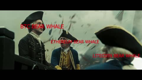 BITCOIN BEAR WHALE MEME