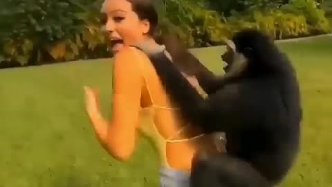 Cute and adorable animal behavior makes anyone happy to see it