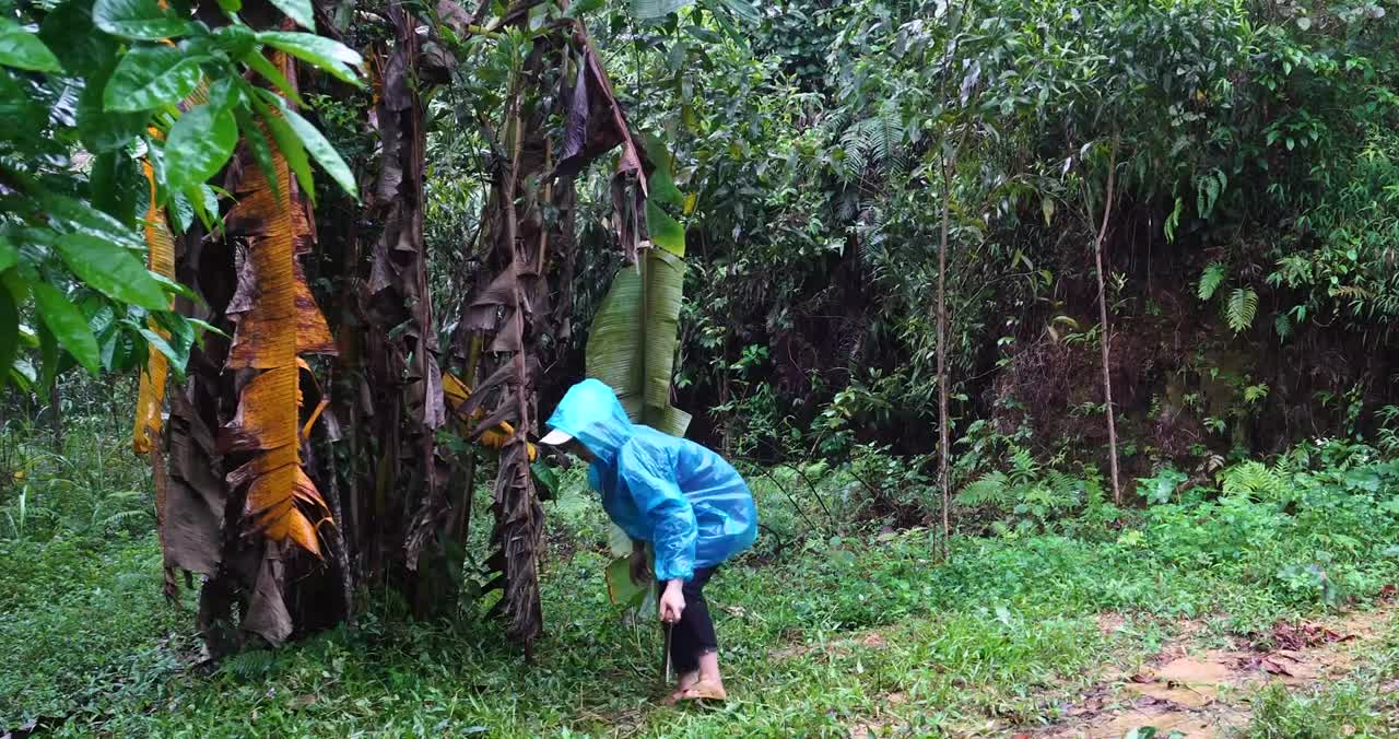 complete great shelter tent in the rain in forest-16