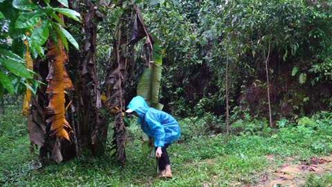 complete great shelter tent in the rain in forest-16