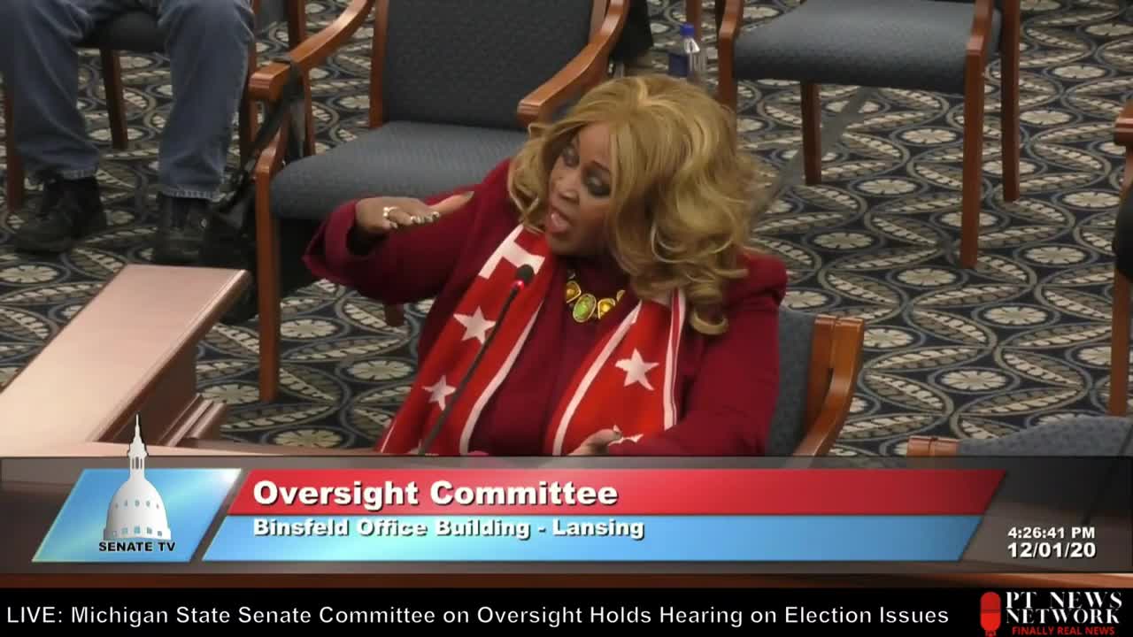 Dr. Linda Lee Tarver Testifies to What is Really Happening in Michigan!!!