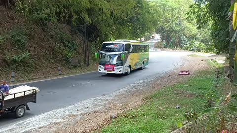 Hampir adu banteng antar bus Sugeng Rahayu vs budiman