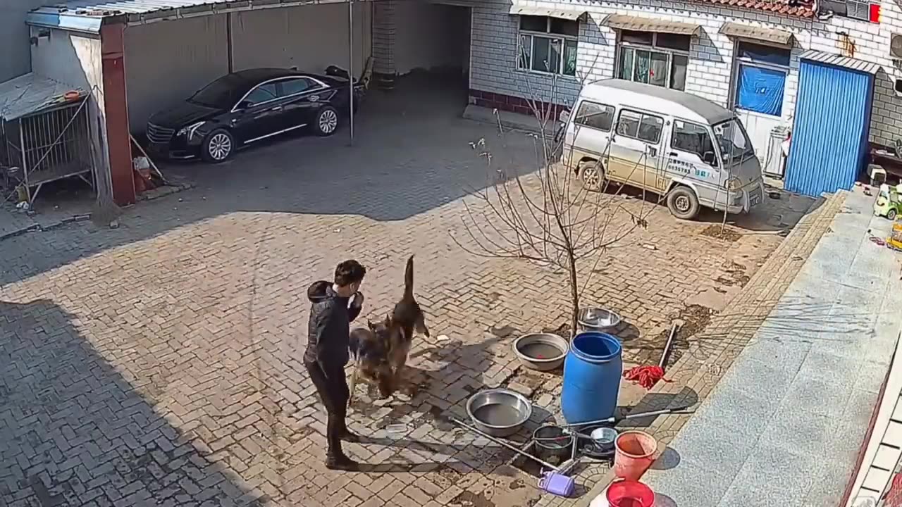 Funniest Fails Of The Year Compilation