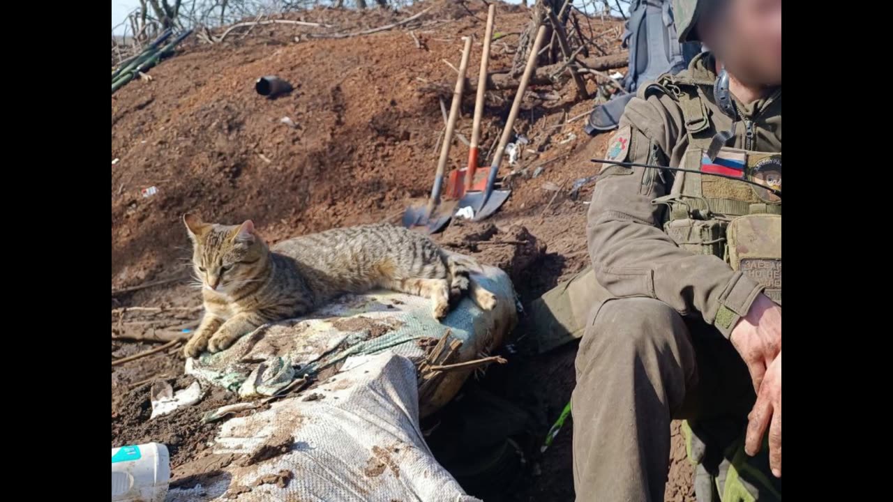 “They looked into the eyes of Ukrainians”