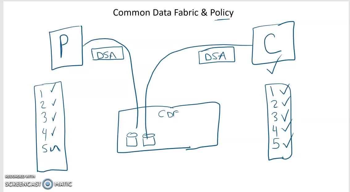 CDF Policy Primer V1