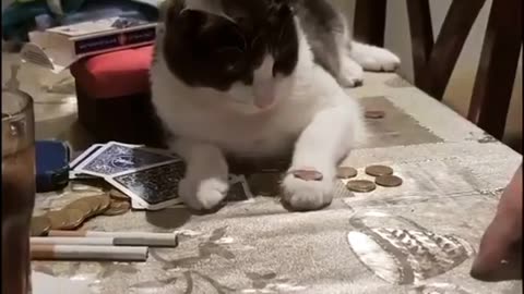CAR LEARING NEW TRICK