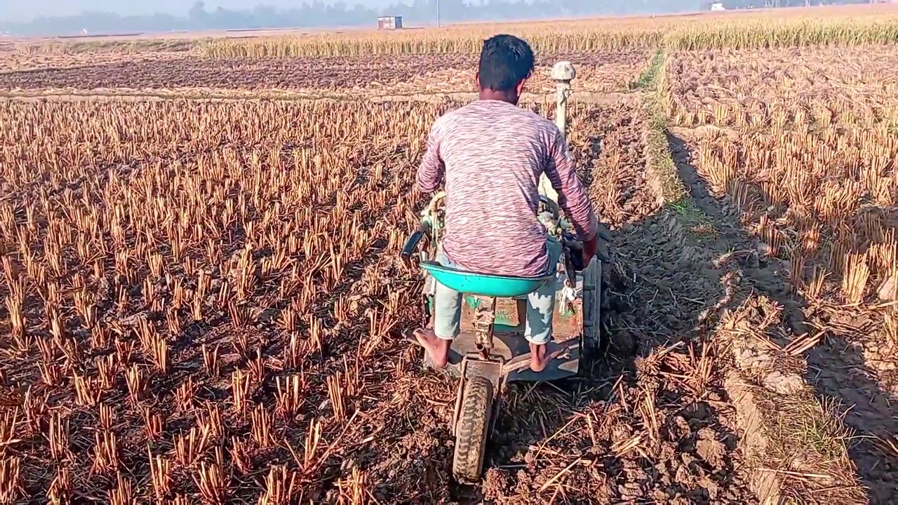 Tractor on Field