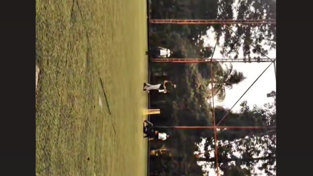 Turf playing cricket match