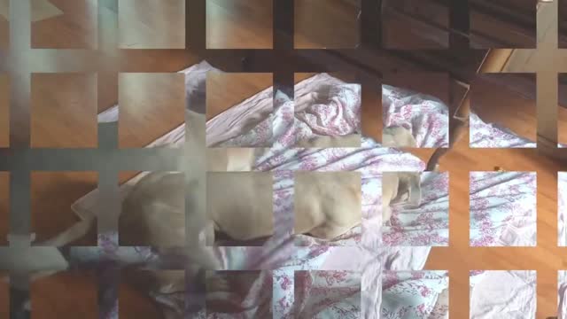 why are you in a mess, hard to sleep....?