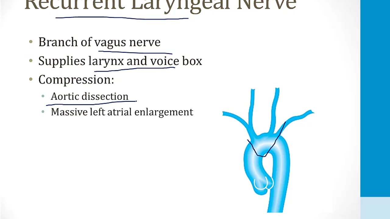 Cardiology - 9. Other Cardiovascular Topics - 4.Aortic Dissection