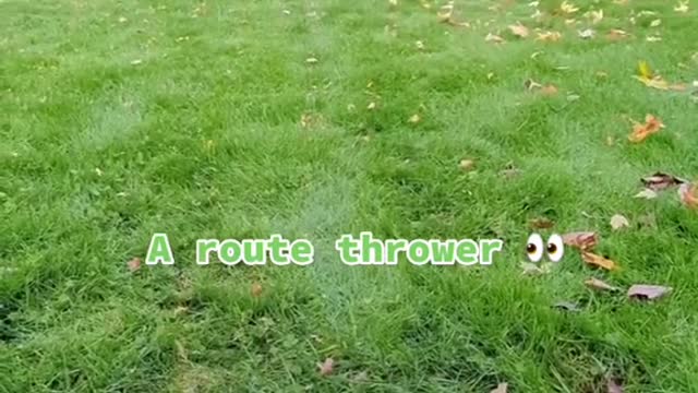 throwerA route thrower