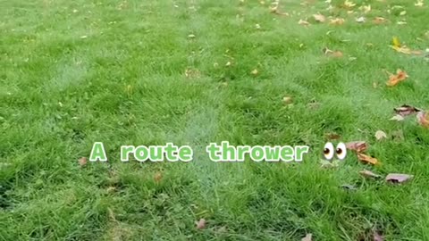 throwerA route thrower