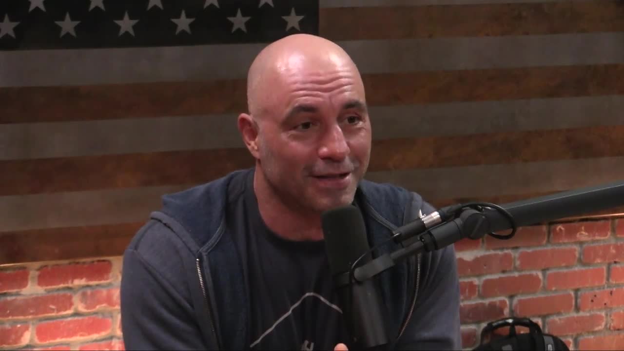 Joe Rogan Experience #1208 - Jordan Peterson