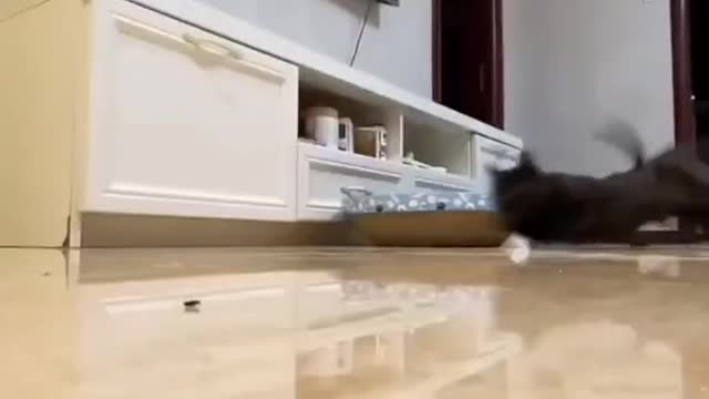 Can't wait to eat