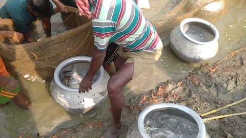 Fish Catching in our pond