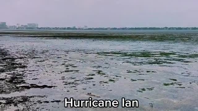 Hurricane lanPulled out water fromThe bay in Tampa.