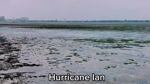 Hurricane lanPulled out water fromThe bay in Tampa.