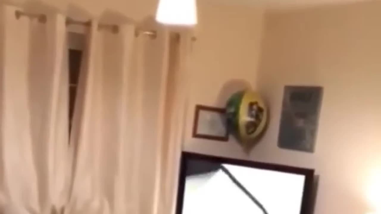 Try not to laugh!
