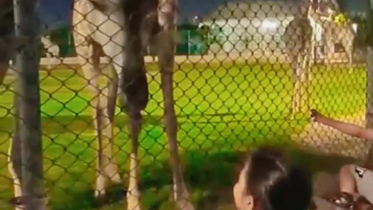 #Animals #Kids #Funtime
