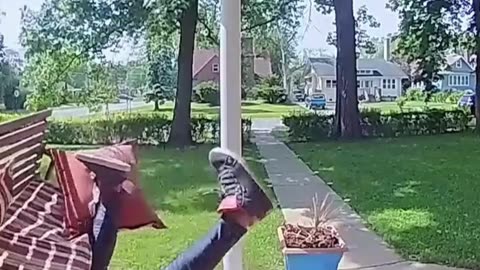 If you laugh you restart 😂😂🤣 #viral #shorts #fails #funny #fail