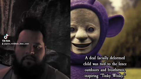 True story¿ of the Teletubies