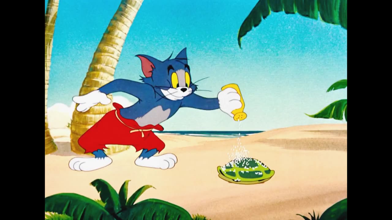 Tom &Jerry funny fight