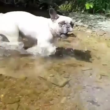 “A fishing pole Wat dat”