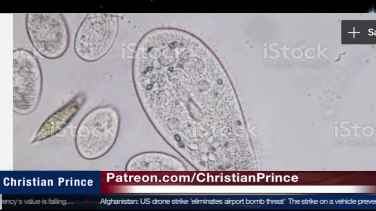 Evolution debunked in 1 minute #atheist #religion #christianity #christianprince #debate #shorts