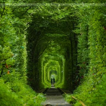 Did You Know? Tunnel of Love, Klevan, Ukraine ||FACTS || TRIVIA