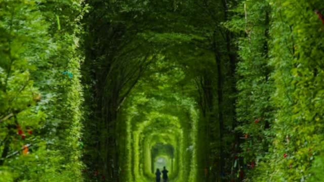 Did You Know? Tunnel of Love, Klevan, Ukraine ||FACTS || TRIVIA