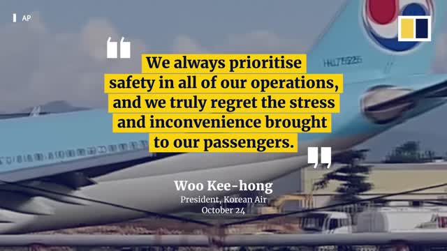 Korean Air plane with 173 on board damaged after overshooting runway in Philippines