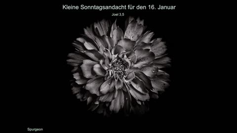 Kleine Sonntagsandacht für den 16. Januar