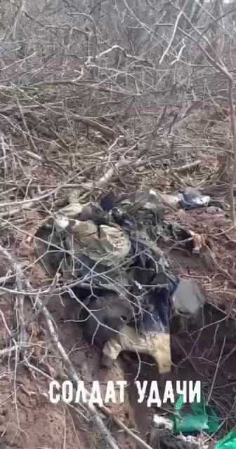 Prt 2 18+ Viewer Discretion: Russian attack aircraft destroyed UAF position