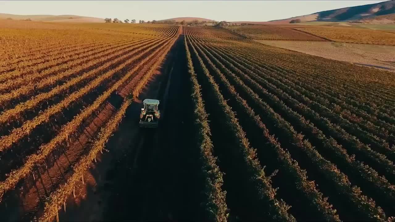 Cape Town in 20 seconds