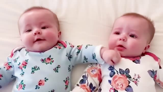 Funny Twin Babies