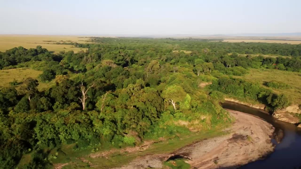 Kenya's Maasai Mara - A Story of Hope for the African Lionlovely