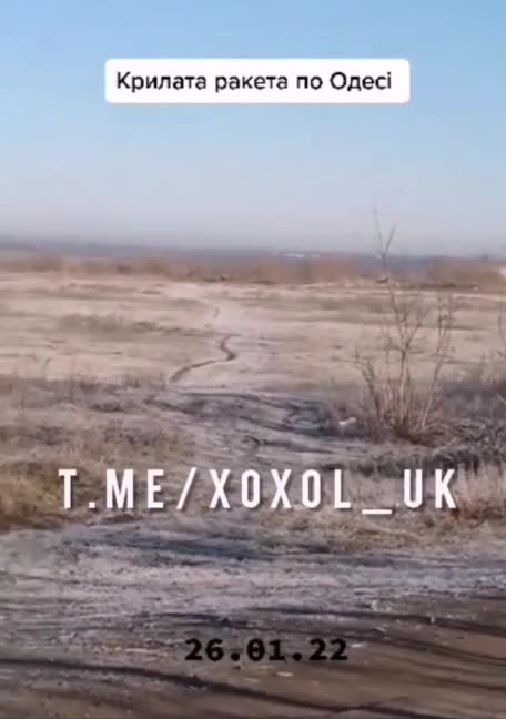 Yesterday's arrival in the pigsty.