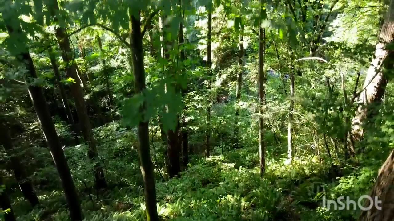 I Wish I could Just Wake Up And It Not Be True! BUT it Is Oh It Is!