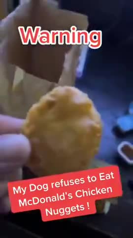 DOG REFUSES TO EAT MCDONALD'S CHICKEN MCNUGGETS
