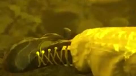 What if you spent 5 second on Venus? #whatif