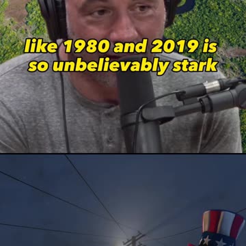 Florida Everglades Destroyed by Pythons